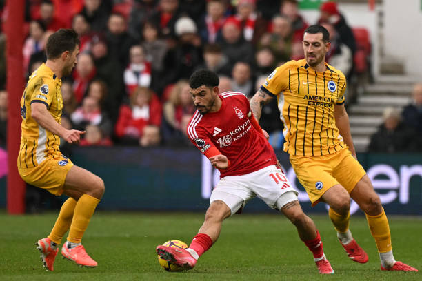 取得了一定 取得了一定