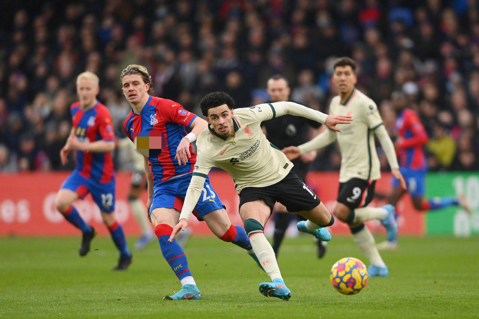 中东部地区 中东部地区